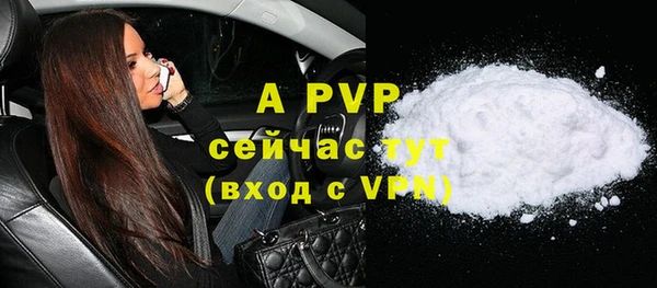 прущие грибы Покровск