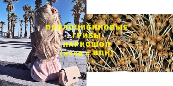 mix Абаза